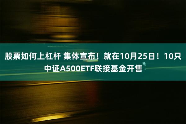 股票如何上杠杆 集体宣布！就在10月25日！10只中证A500ETF联接基金开售