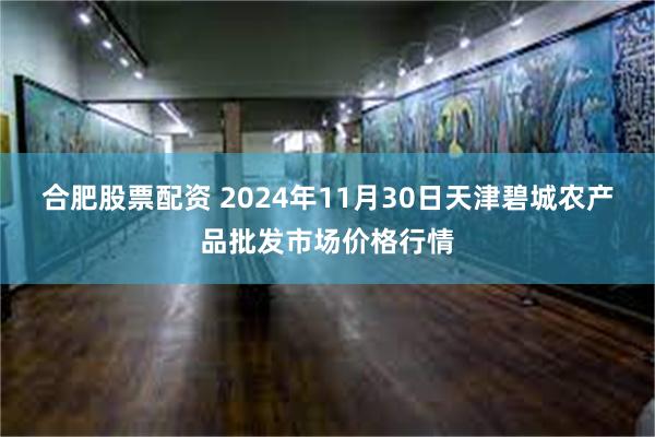 合肥股票配资 2024年11月30日天津碧城农产品批发市场价格行情