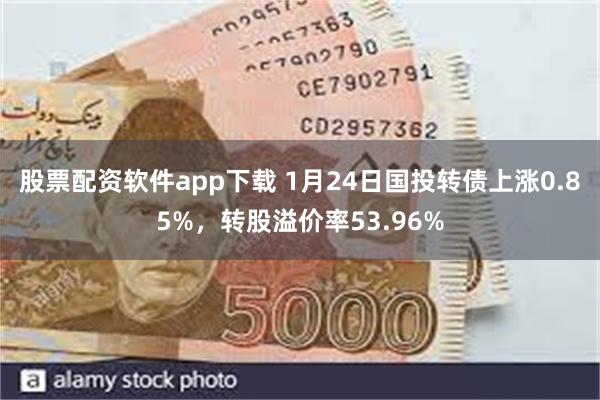 股票配资软件app下载 1月24日国投转债上涨0.85%，转股溢价率53.96%