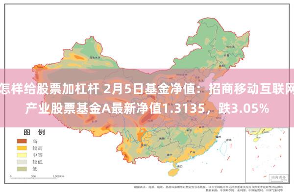 怎样给股票加杠杆 2月5日基金净值：招商移动互联网产业股票基金A最新净值1.3135，跌3.05%