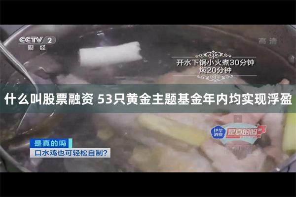 什么叫股票融资 53只黄金主题基金年内均实现浮盈