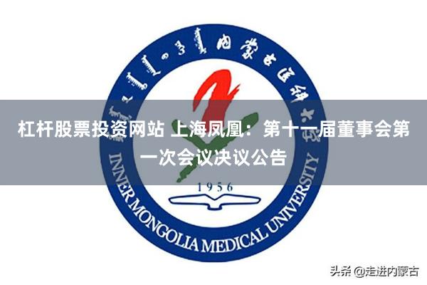 杠杆股票投资网站 上海凤凰：第十一届董事会第一次会议决议公告